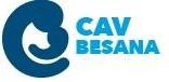 CAV Besana